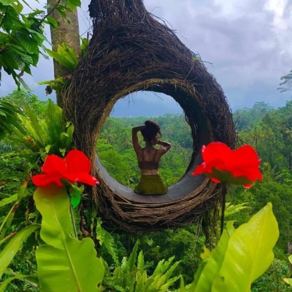 Meet your Posher, Stella - Picture 2 of 8